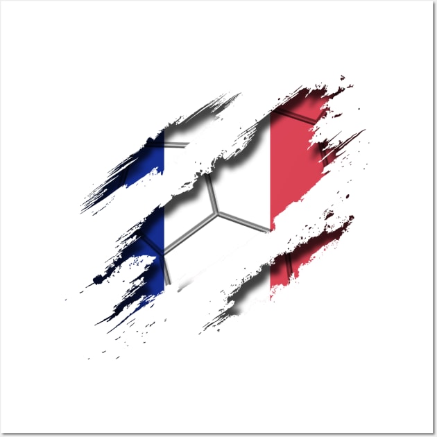 France Football Wall Art by blackcheetah